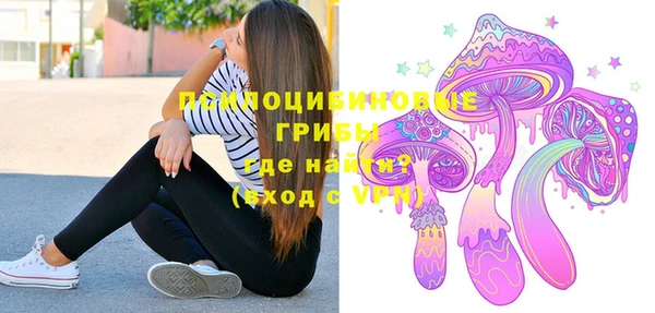 мяу мяу мука Алзамай