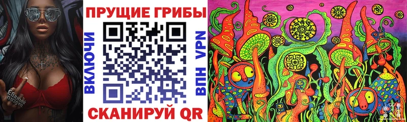блэк спрут ONION  Бикин  Галлюциногенные грибы мухоморы  купить наркотики сайты 